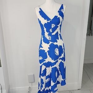 Milly Asymmetrical Dress in Blue and White Floral